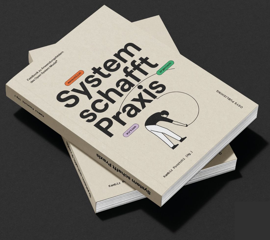 Cover: System schafft Praxis